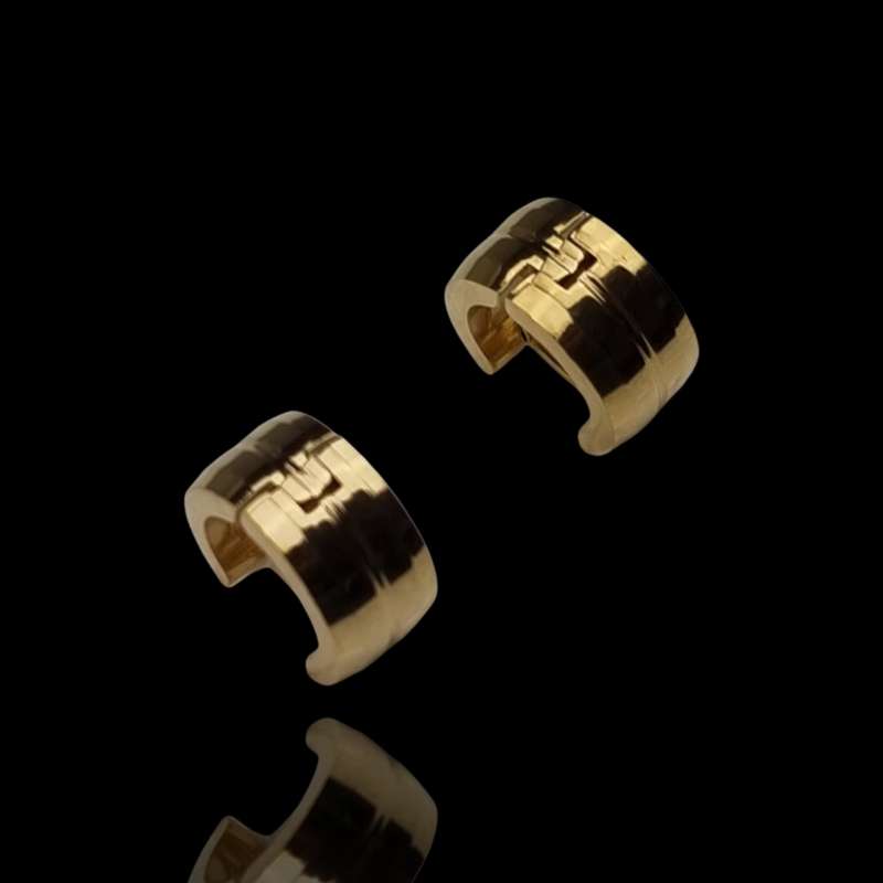 Women's earrings EST860g