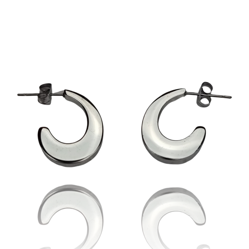 Women's earrings EST840